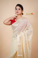 Fancy Saree