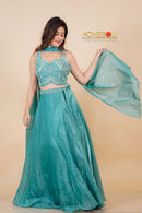 Designer Lehenga Choli