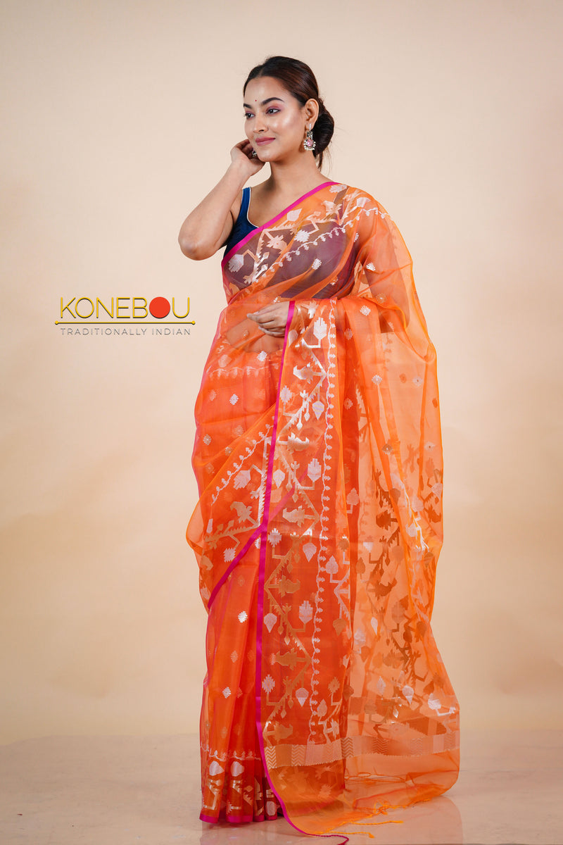 Fancy Saree