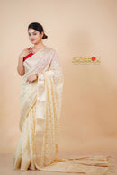 Fancy Saree