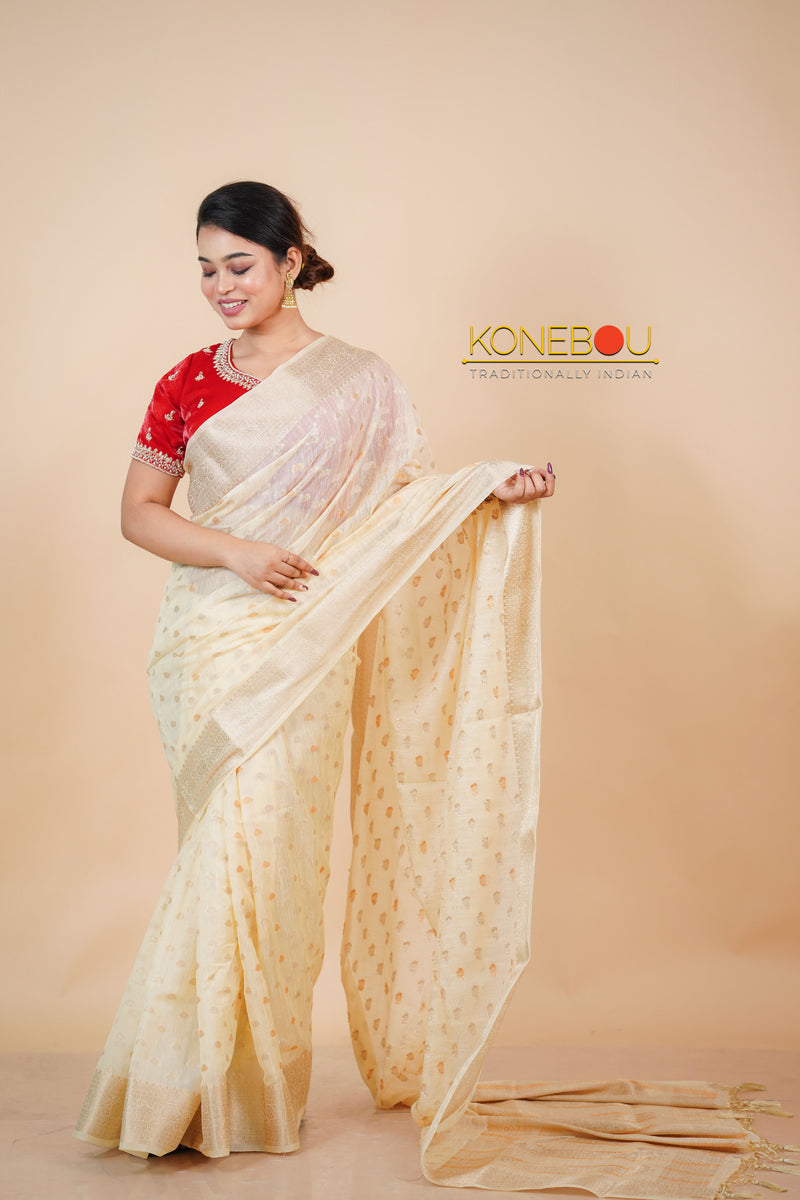 Fancy Saree