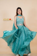 Designer Lehenga Choli