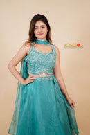 Designer Lehenga Choli