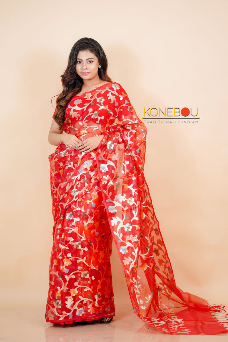 Fancy Saree