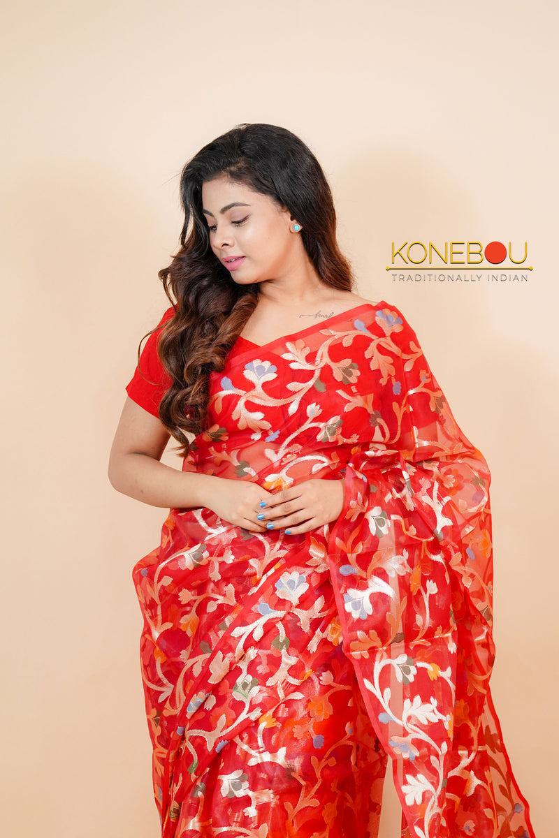 Fancy Saree